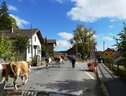 P1170258