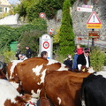 P1170878