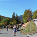 P1090472