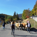 P1090474