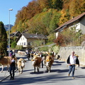 P1090485