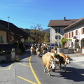 P1090506
