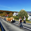 P1090537