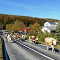 P1090569