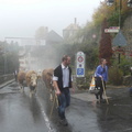 P1230032