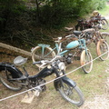 DSCN6477