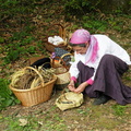 DSCN6479