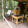 DSCN6495