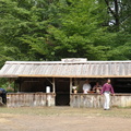 DSCN6500