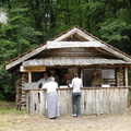 DSCN6515