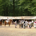 DSCN6521