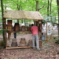 DSCN6637