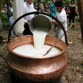 DSCN6658
