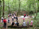 DSCN6183