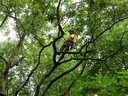 DSCN6194
