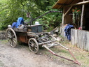DSCN6317