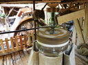 DSCN6332