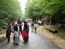 DSCN6337