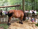 DSCN6358