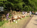 DSCN6393