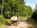 DSCN6397