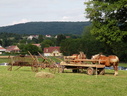 DSCN6413