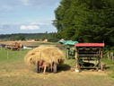 DSCN6419