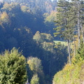 P1310632