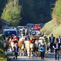 P1310651