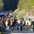 P1310657