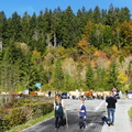 P1310667