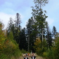 P1310791