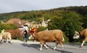 P1310969