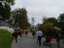 P1320075