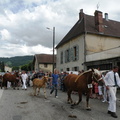 DSCN7869