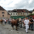 DSCN7870