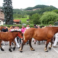 DSCN7872