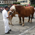 DSCN7876