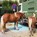 DSCN7893