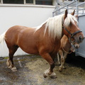 DSCN7896