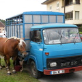 DSCN7897