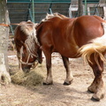 DSCN7900