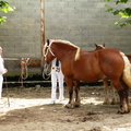 DSCN7901