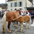 DSCN7918
