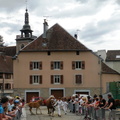 DSCN7955