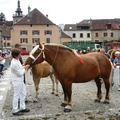 DSCN7960