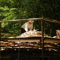 DSCN9245