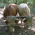 DSCN9322