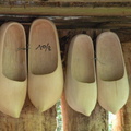 DSCN9504