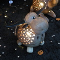 DSCN7853